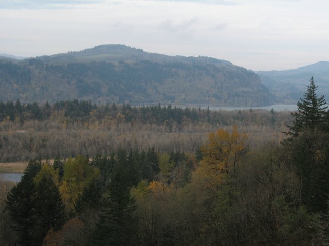 11.18.06 Latourell Falls 017 